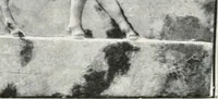 An illustration from A handbook of the Egyptian rooms .. (1918)