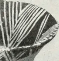 Picture 8 of 76 from A handbook of the Egyptian rooms .. (1918), leaf 40