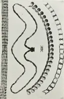 An illustration from A handbook of the Egyptian rooms .. (1918)