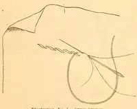 An illustration from Hand-book of embroidery; (1880)