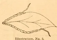 An illustration from Hand-book of embroidery; (1880)