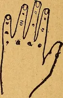 Picture 12 of 13 from Hand book of games and pastimes : a manual for parlor and lawn, comprising a choice collection of parlor games, tricks, dialogues, tableaux, ruler for lawn tennis, calls for dancing, palmistry, etc., etc (1887), leaf 93