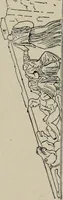 An illustration from A handbook of Greek and Roman sculpture (1905)