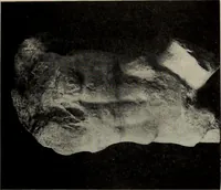 An illustration from A handbook of Greek and Roman sculpture (1905)