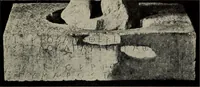 An illustration from A handbook of Greek and Roman sculpture (1905)