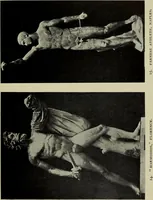 An illustration from A Handbook of Greek and Roman sculpture : to accompany a collection of reproductions of Greek and Roman sculpture (1905)