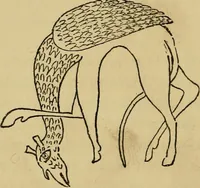 An illustration from Handbook of heraldry : with instructions for tracing pedigrees and deciphering ancient mss. : rules for the appointment of liveries, &c (1882)