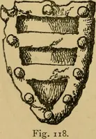 An illustration from Handbook of heraldry : with instructions for tracing pedigrees and deciphering ancient mss. : rules for the appointment of liveries, &c (1882)