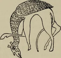 An illustration from The handbook of heraldry : with instructions for tracing pedigrees and deciphering ancient mss., also, rules for the appointment of liveries, etc. etc. (1869)