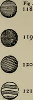 An illustration from The handbook of heraldry : with instructions for tracing pedigrees and deciphering ancient mss., also, rules for the appointment of liveries, etc. etc. (1869)