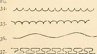 An illustration from Handbook of heraldry, with instructions for tracing pedigrees and deciphering ancient mss., rules for the appointment of liveries, &c. (1893)