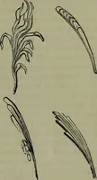Picture 4 of 172 from A handbook of legendary and mythological art (1876), leaf 24