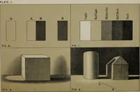 Picture 2 of 26 from Handbook of light and shade, with especial reference to model drawing (1880), leaf 15