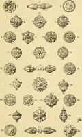 An illustration from Handbook of ornament; a grammar of art, industrial and architectural designing in all its branches, for practical as well as theoretical use (1900)