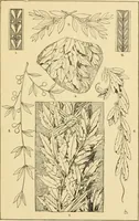 An illustration from Handbook of ornament; a grammar of art, industrial and architectural designing in all its branches, for practical as well as theoretical use (1900)