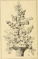 An illustration from Handbook of ornament; a grammar of art, industrial and architectural designing in all its branches, for practical as well as theoretical use (1900)