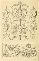 An illustration from Handbook of ornament; a grammar of art, industrial and architectural designing in all its branches, for practical as well as theoretical use (1900)