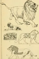 An illustration from Handbook of ornament; a grammar of art, industrial and architectural designing in all its branches, for practical as well as theoretical use (1900)
