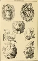 An illustration from Handbook of ornament; a grammar of art, industrial and architectural designing in all its branches, for practical as well as theoretical use (1900)