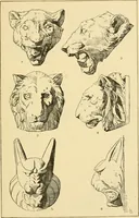 An illustration from Handbook of ornament; a grammar of art, industrial and architectural designing in all its branches, for practical as well as theoretical use (1900)