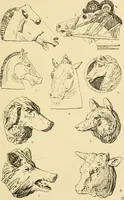 An illustration from Handbook of ornament; a grammar of art, industrial and architectural designing in all its branches, for practical as well as theoretical use (1900)