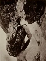 Picture 9 of 30 from A handbook of pictorial art (1875), leaf 161