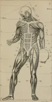 An illustration from A handbook of pictorial art (1875)