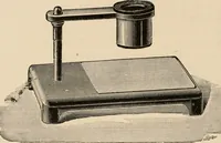 An illustration from Handbook of practical botany for the botanical laboratory and private student (1908)