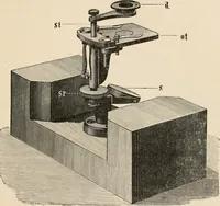 An illustration from Handbook of practical botany for the botanical laboratory and private student (1908)
