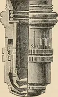 An illustration from Handbook of practical botany for the botanical laboratory and private student (1908)