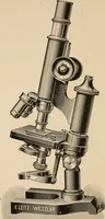 An illustration from Handbook of practical botany for the botanical laboratory and private student (1908)