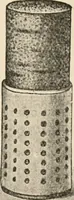 An illustration from Handbook of practical botany for the botanical laboratory and private student (1908)
