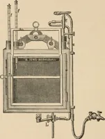 An illustration from Handbook of practical botany for the botanical laboratory and private student (1908)