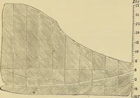 An illustration from Handbook of the steam-engine. Containing all the rules required for the right construction and management of engines of every class, with the easy arithmetical solution of those rules. Constituting a key to the 'Catechism of the steam-engine.' (1874)