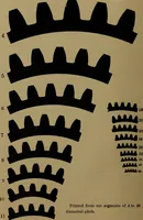 An illustration from A handbook on the teeth of gears, their curves, properties, and practical construction (1887)