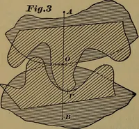 An illustration from A handbook on the teeth of gears, their curves, properties, and practical construction (1887)