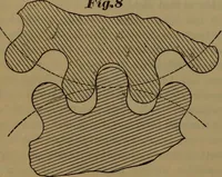 An illustration from A handbook on the teeth of gears, their curves, properties, and practical construction (1887)