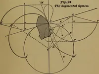 An illustration from A handbook on the teeth of gears, their curves, properties, and practical construction (1887)
