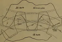 Picture 10 of 22 from A handbook on the teeth of gears, their curves, properties and practical construction (1885), leaf 17