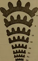 An illustration from A handbook on the teeth of gears, their curves, properties and practical construction (1885)