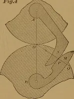 An illustration from A handbook on the teeth of gears, their curves, properties, and practical construction (1890)