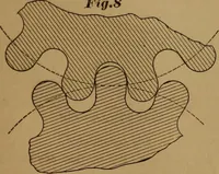 An illustration from A handbook on the teeth of gears, their curves, properties, and practical construction (1890)