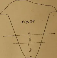 An illustration from A handbook on the teeth of gears, their curves, properties, and practical construction (1890)