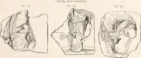 Picture 19 of 246 from Handbook to the antiquities in the British Museum : being a description of the remains of Greek, Assyrian, Egyptian and Etruscan art preserved there, with numerous illustrations (1851), leaf 49