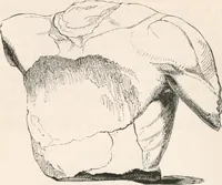 An illustration from Handbook to the antiquities in the British Museum : being a description of the remains of Greek, Assyrian, Egyptian and Etruscan art preserved there, with numerous illustrations (1851)