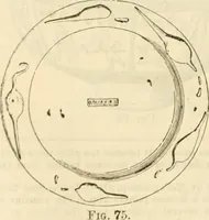 Picture 50 of 102 from Handbook to the collection of British pottery and porcelain, in the Museum of Practical Geology (1893), leaf 100