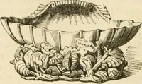Picture 93 of 102 from Handbook to the collection of British pottery and porcelain, in the Museum of Practical Geology (1893), leaf 150