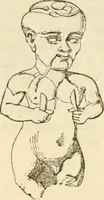 Picture 4 of 102 from Handbook to the collection of British pottery and porcelain, in the Museum of Practical Geology (1893), leaf 58