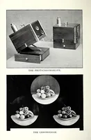 Picture 1 of 2 from Hand-book to the photochromoscope (1894), leaf 4