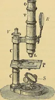 An illustration from Handbuch der klinischen Mikroskopie : mit Berücksichtigung der wichtigsten chemischen Untersuchungen am Krankenbette und der Verwendung des Mikroskopes in der gerichtlichen Medicin (1883)
